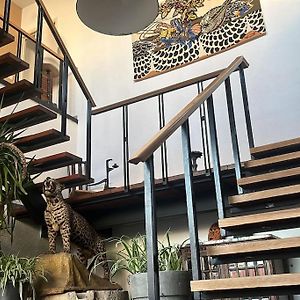 Loft By Conceptliving